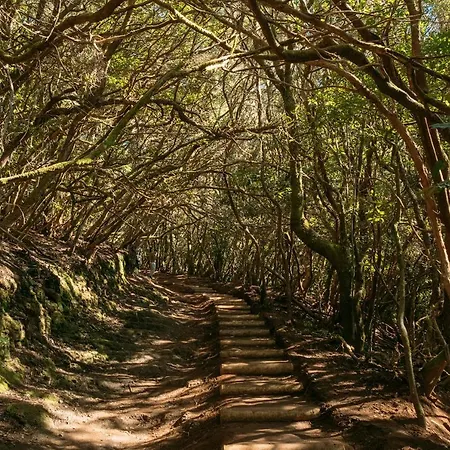 El Garajillo Apartman *