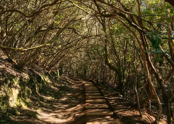 El Garajillo Appartement *